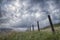 Meadow with fence with a cloudy sky