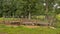 Meadow with fence and old bath tubs serving as drinking though for cattle