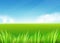 Meadow field. Summer or spring nature background with green grass landscape