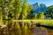 Meadow with flooded boardwalk in Yosemite