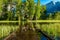 Meadow with flooded boardwalk in Yosemite