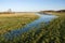 Meadow flooded with water