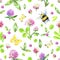 Meadow flowers, clover, bumblebee, butterflies