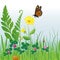 Meadow Flowers and Insects/eps