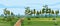 Meadow and forest landscape nature, spruce pine trees, grass and bushes. Panorama scenery lonely path road. Vector