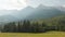 Meadow, forest and mountains.