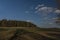 Meadow and forest in sunset evening with long shadows and blue sky