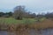 Meadow and forests along Pirita river