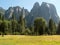 Meadow granite cliffs Yosemite National Park