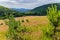 Meadow with grass on a low descent from the hill with a beautiful view of the slopes overgrown with wood and mountain