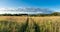 Meadow with grass and wildflowers and country road panoramic lan