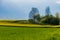 Meadow grassland green and yellow sunlight