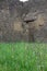 Meadow green grass under old ruined stone walls of Italian Roman Pompei