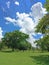 Meadow green grasses with blue sky clouds