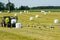 A meadow with a hay press, wrapped hay bales and lots of storks