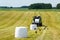 A meadow with a hay press, wrapped hay bales and lots of storks