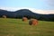 Meadow with hay and Stolowe Mountains in Poland