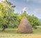 Meadow and Haystack