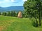 In the meadow haystack mountains in the background.