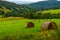 Meadow with haystack  pasture with cows  green hills with woods  Rychleby mountains