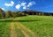 Meadow with hiking trail, trees around, hill and blue sky with clouds in spring Beskydy mountains