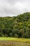 Meadow with hill covered by forest with smaller rock formation bellow Sobes vineyard in Narodni park Podyji in Czech republic