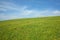 Meadow and hill with many yellow dandelions and sky