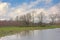 Meadow and lake with reflection of bare trees and reed in the flemish countryside