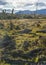 Meadow landscape, tierra del fuego, argentina