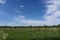 Meadow landscape under a cloudy blue sky