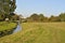 Meadow lawn in the middle of the city sunlit grass and stream