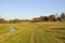 Meadow lawn in the middle of the city sunlit grass and stream