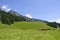 Meadow in Maienfeld, Switzerland