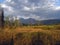 Meadow, Marsh and Mountains