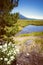 Meadow with Mount Bachelor in the background, near Bend Oregon. Filter applied to photo