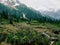 Meadow and Mount Baker along the Lake Ann Trail, Mt. Baker Wilderness, North Cascade National Park, Washington