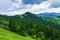 Meadow in the mountains, slopes, growing trees