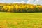 A meadow with mown grass on the edge of the forest