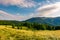 Meadow near the forest at the foot of the mountain