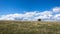 Meadow near Kaseberga