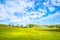 Meadow with nice  blue sky and vineyard, Yarra ValleyAustralia