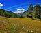 Meadow with old alpien house iwith view on Granta Parey