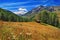 Meadow with panoramic view on Alpien mountains