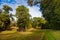 Meadow in park