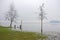 Meadow and park trees submerged by lake water