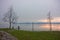 Meadow and park trees submerged by lake water