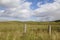 Meadow, pasture in the hole Duntelchaig, Inverness shire in the Highlands,