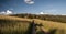 Meadow with pathway, hill on the background and blue sky with clouds above Oscadnica village in Slovakia