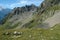 Meadow and peaks nearby Chamonix in France