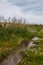 Meadow with a puddle, Sardinia, Italy